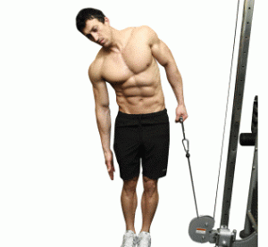 cable_side_bends_002