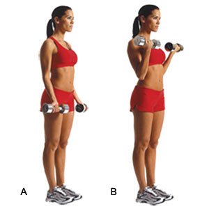 dumbbell-curl